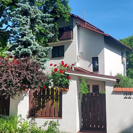 Hidden Gem Garden Lejlighed Kraków Eksteriør billede