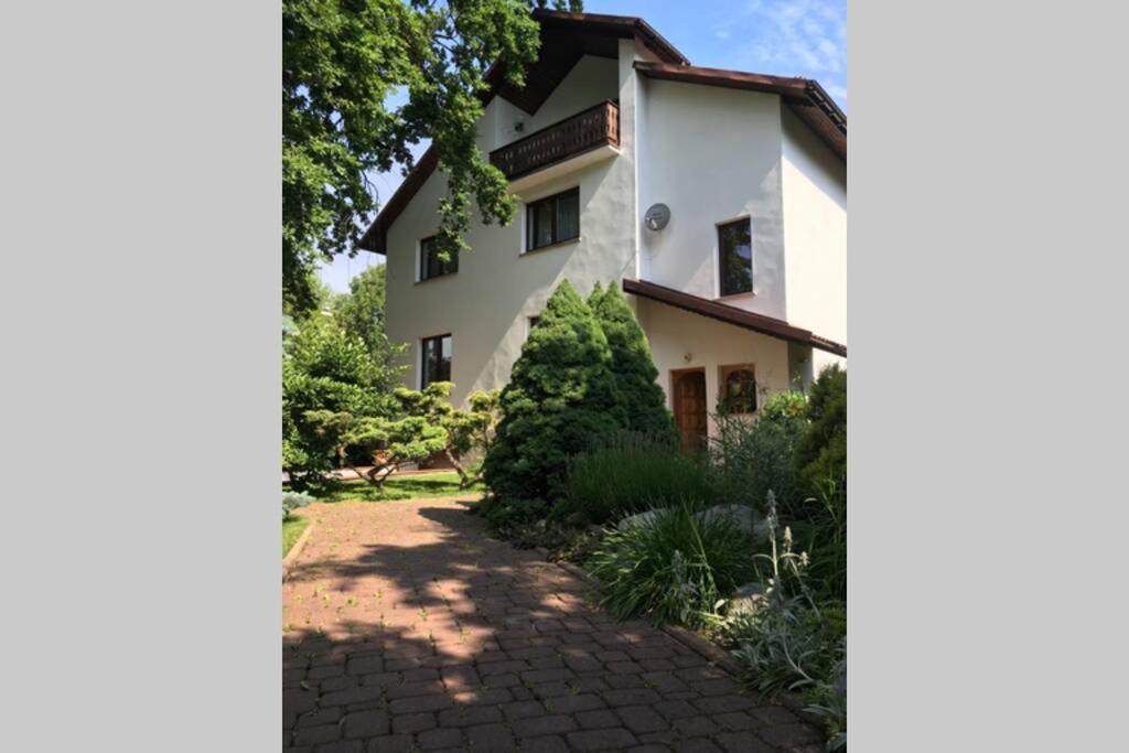 Hidden Gem Garden Lejlighed Kraków Eksteriør billede