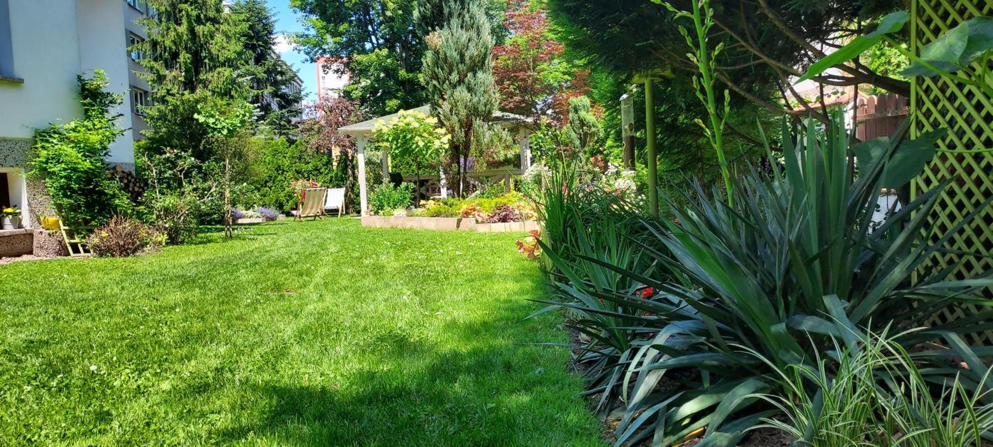 Hidden Gem Garden Lejlighed Kraków Eksteriør billede